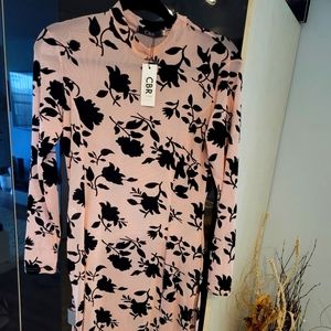 CBR Sexy, sheer, side slit dress